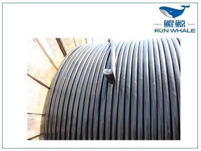 鄭州電纜廠家：什么是RVS電纜？