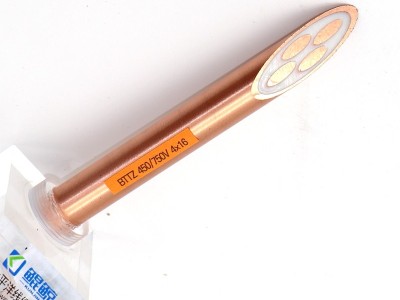 bttz電纜有五芯的嗎？