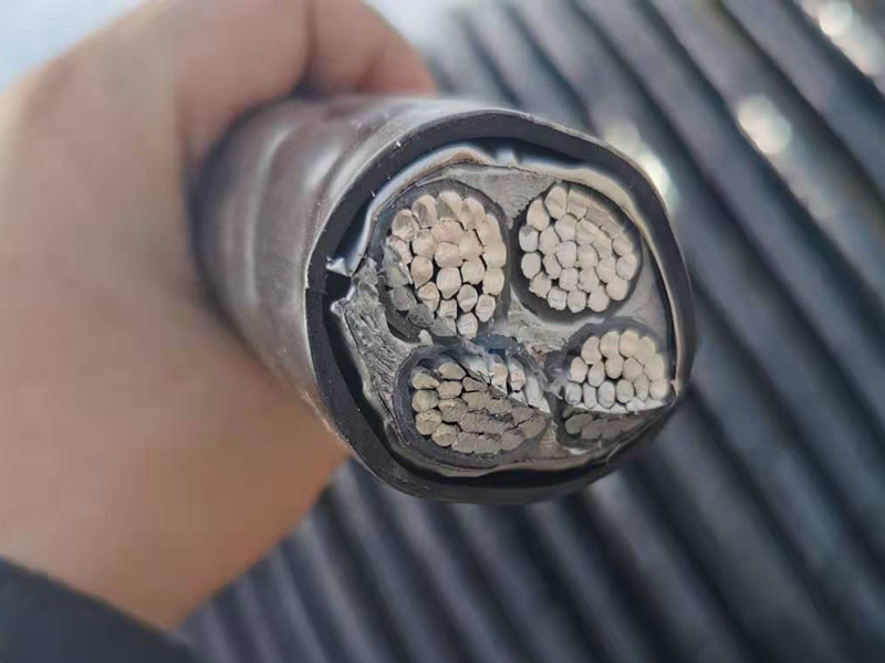 鎧裝電纜價(jià)格比普通電纜的貴憑什么？