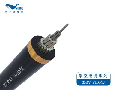 架空電纜系列JKLYJ，JKLGYJ 0.6/1KV