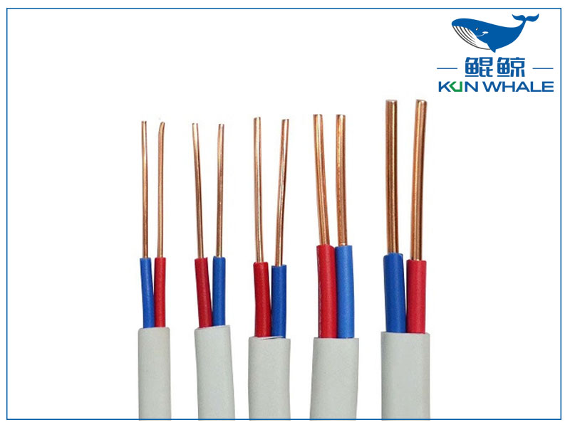 太平洋線纜帶你了解什么是<i style='color:red'>bvvb</i>電線？